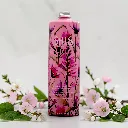 SHAMPOO BOOST 1L (2).webp